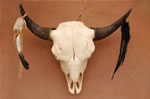 Image of a dead long horn steer.